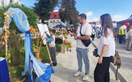 5300990714701357153