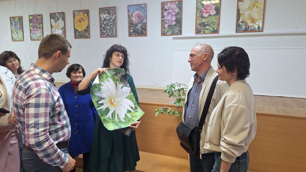 Превью