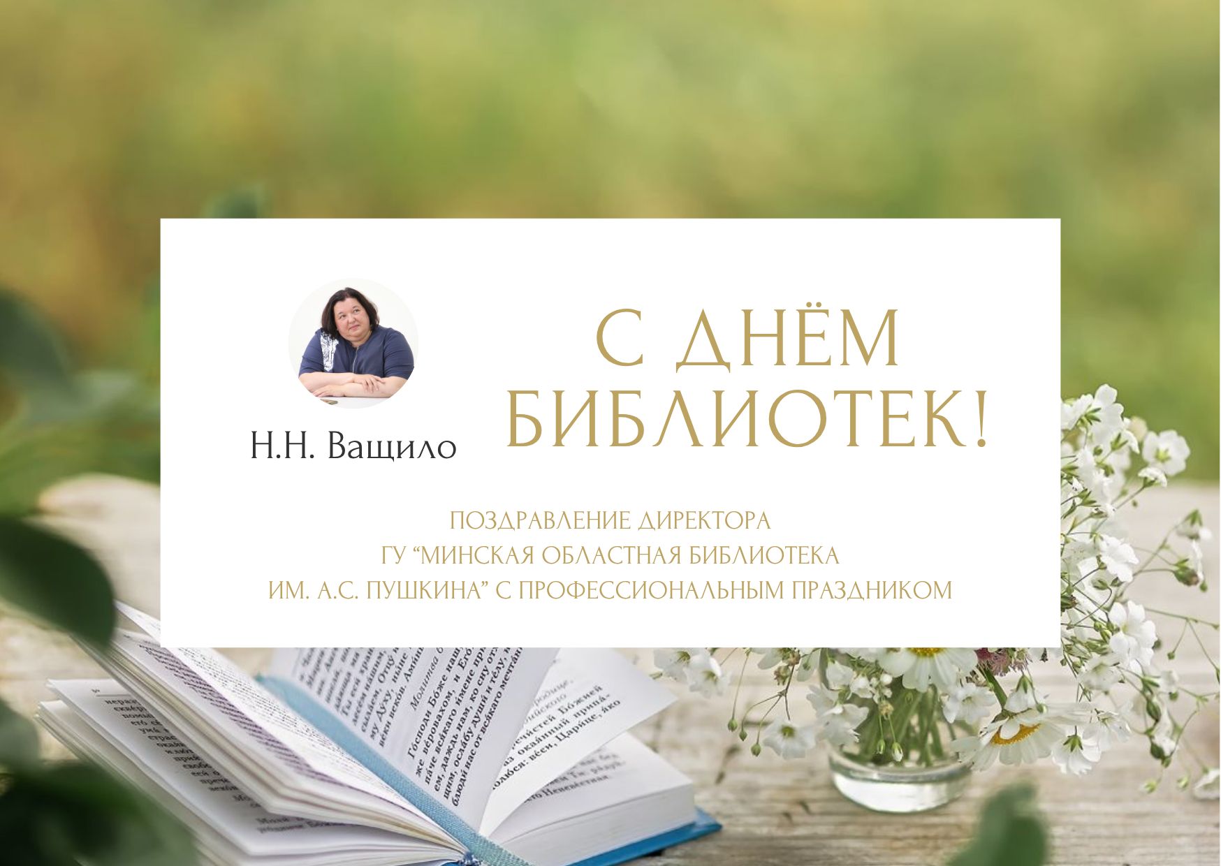 Превью